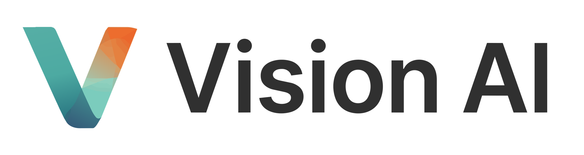 Vision AI